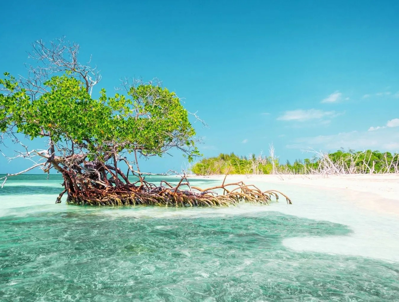 Urlaub in Kuba: Die 10 Schönsten Sehenswürdigkeiten im Karibikparadies